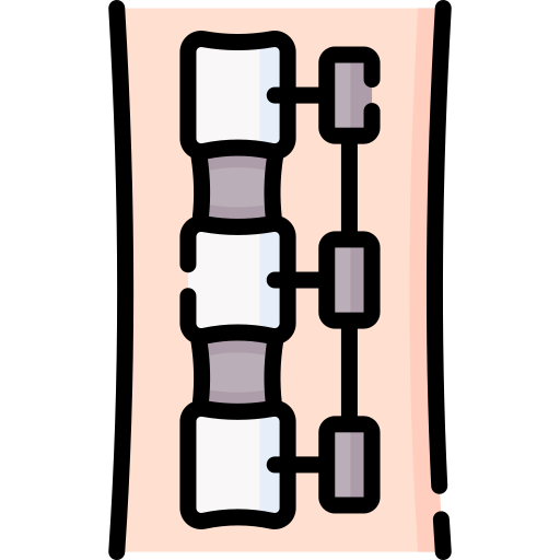 cervical spine